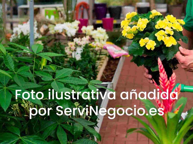 Traspaso floristeria Granada