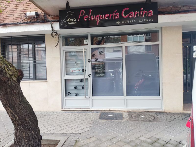 Traspaso peluquería canina Madrid