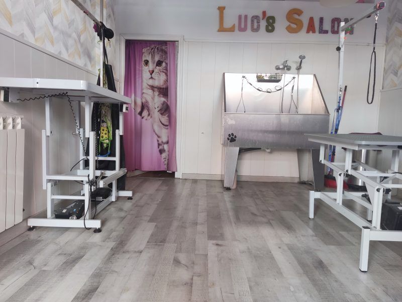 Traspaso peluquería canina Madrid