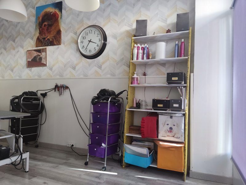 Traspaso peluquería canina Madrid
