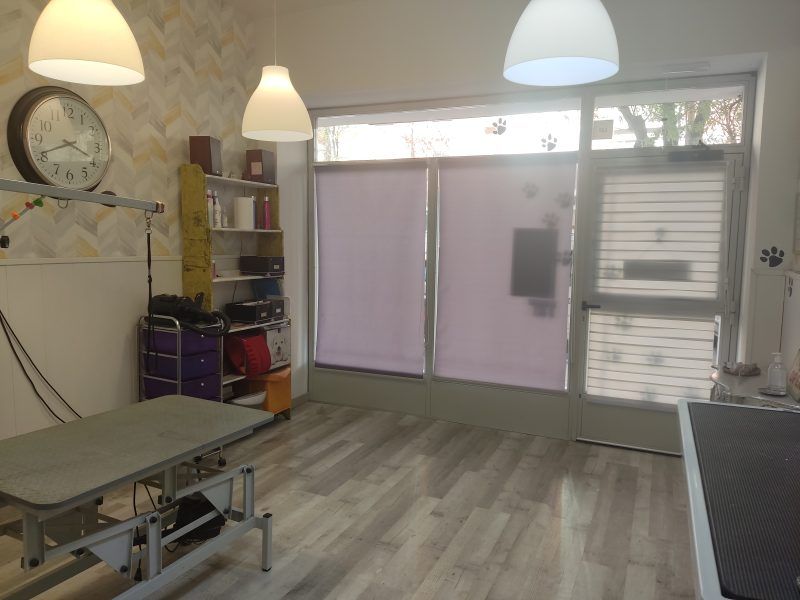Traspaso peluquería canina Madrid