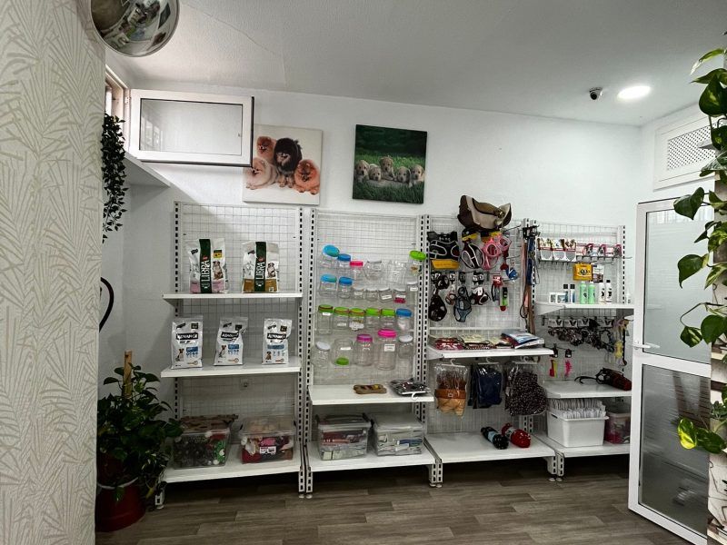Traspaso Peluquería Canina Benidorm