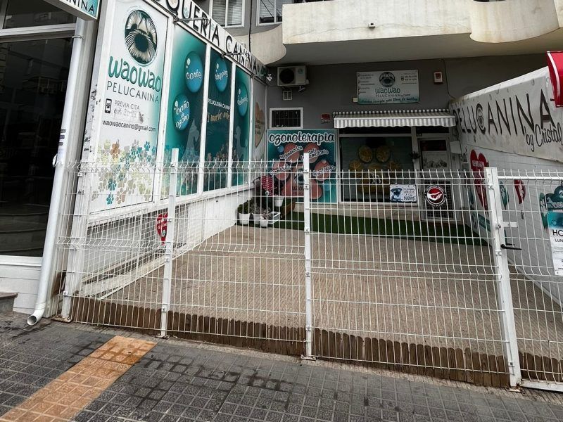 Traspaso Peluquería Canina Benidorm