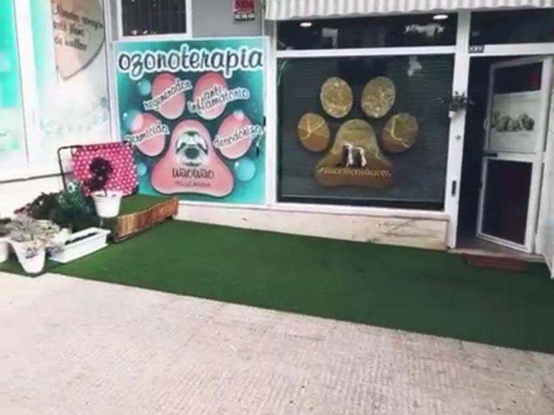 Traspaso Peluquería Canina Benidorm