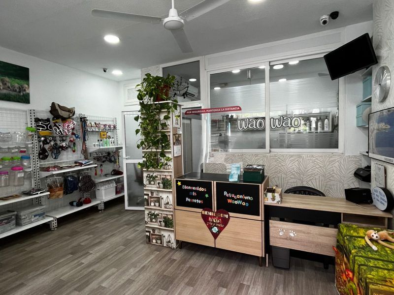 Traspaso Peluquería Canina Benidorm