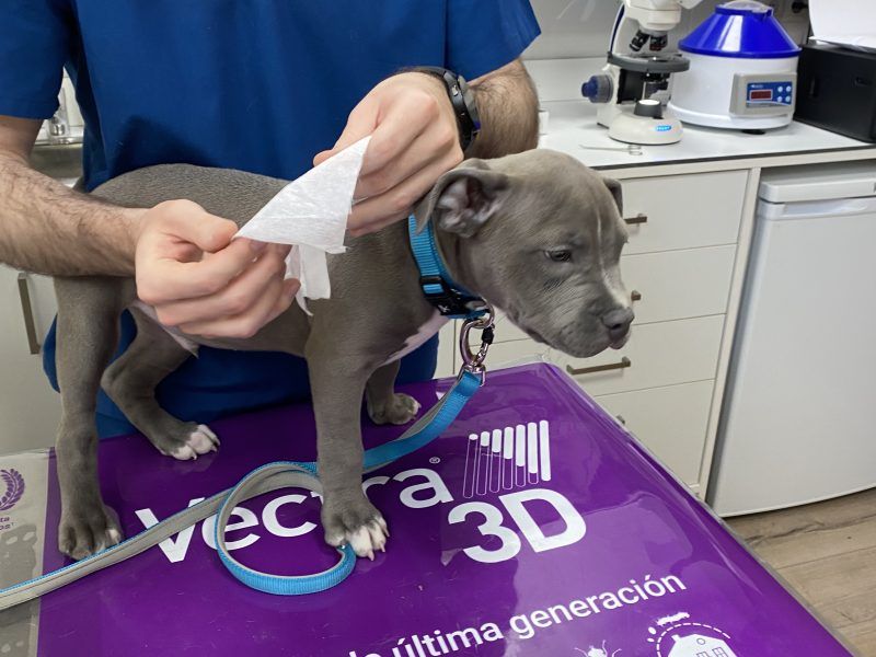 Traspaso veterinario Alcalá - peluquería canina y nutrición para mascotas