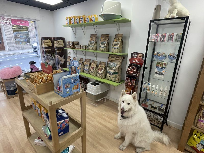 Traspaso peluquería canina Alicante