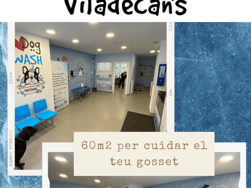 Traspaso Autolavado mascotas Viladecans