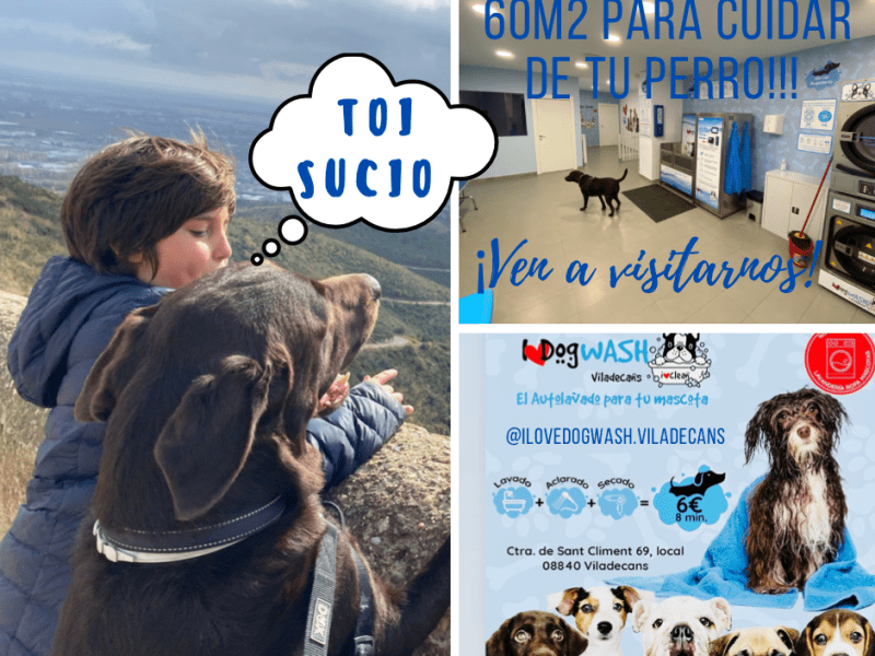Traspaso Autolavado mascotas Viladecans