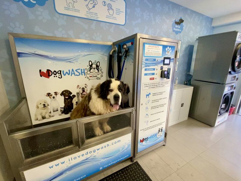 Traspaso Autolavado mascotas Viladecans