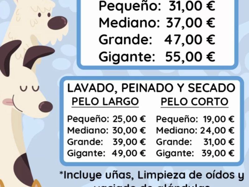 Traspaso Autolavado mascotas Viladecans
