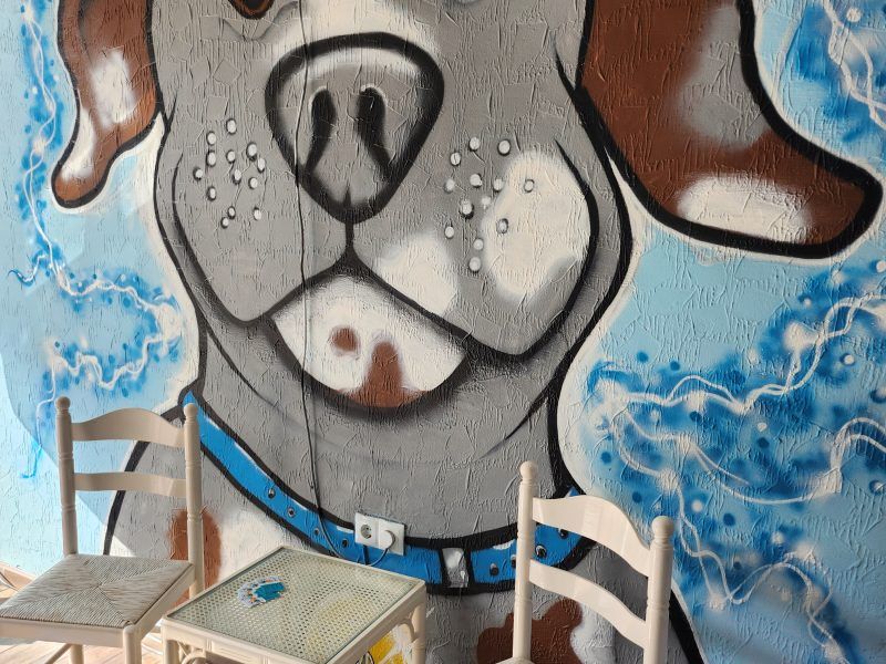 Traspaso Peluquería Canina Cartagena