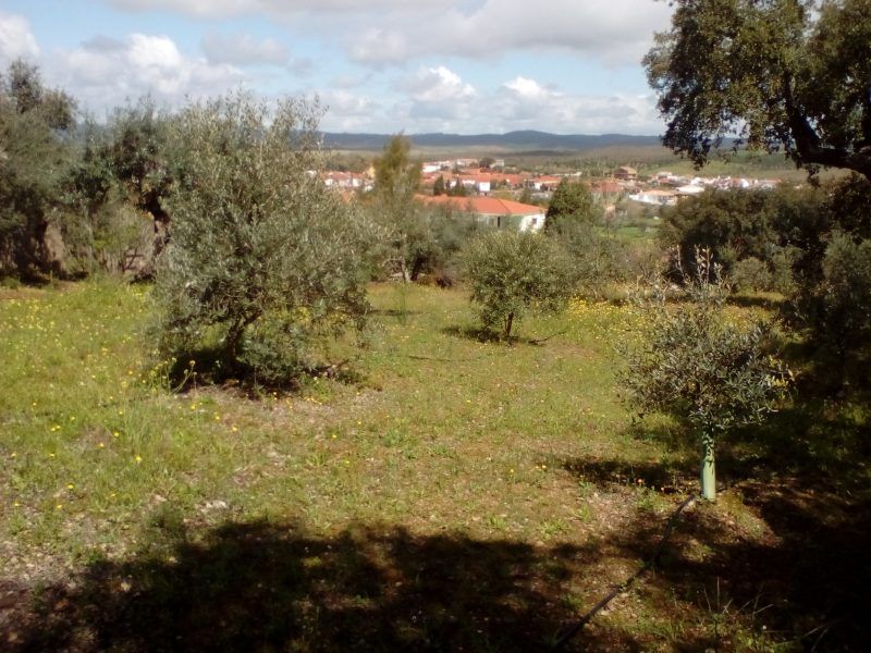 Se alquila casa de campo