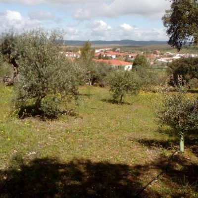 La nature