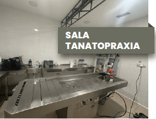 Se Vende Tanatorio-Crematorio de Alta Gama en Calatayud (Zaragoza) – Operativo, Rentable y con Futuro