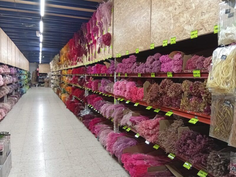 TRASPASO NEGOCIO MAYORISTA DE ARTÍCULOS DE FLORISTERÍA Y DECORACIÓN