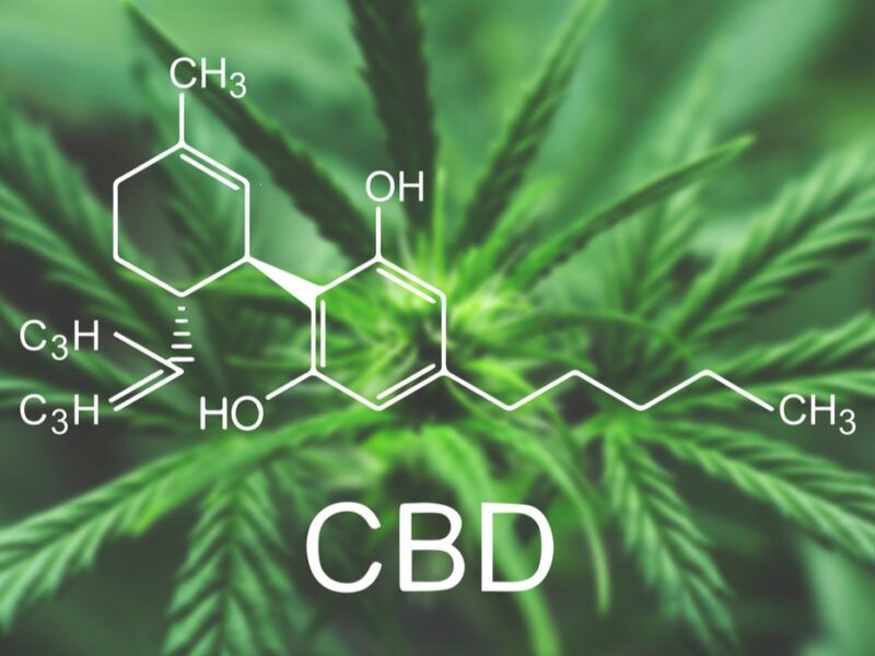 Traspaso Negocio CBD