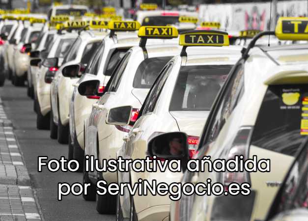 Vendo licencia taxi con coche Zaragoza