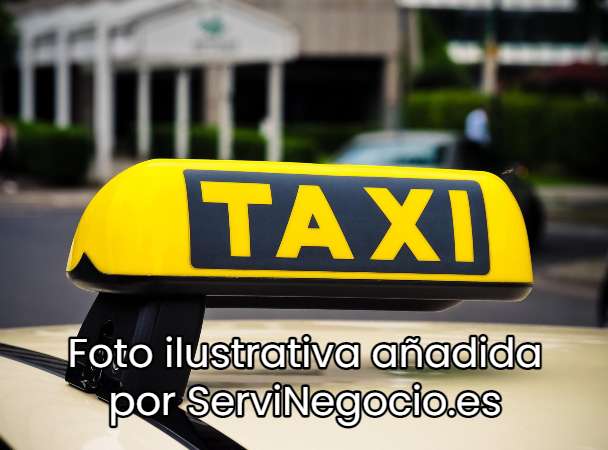 Licencia de Taxi de Logroño
